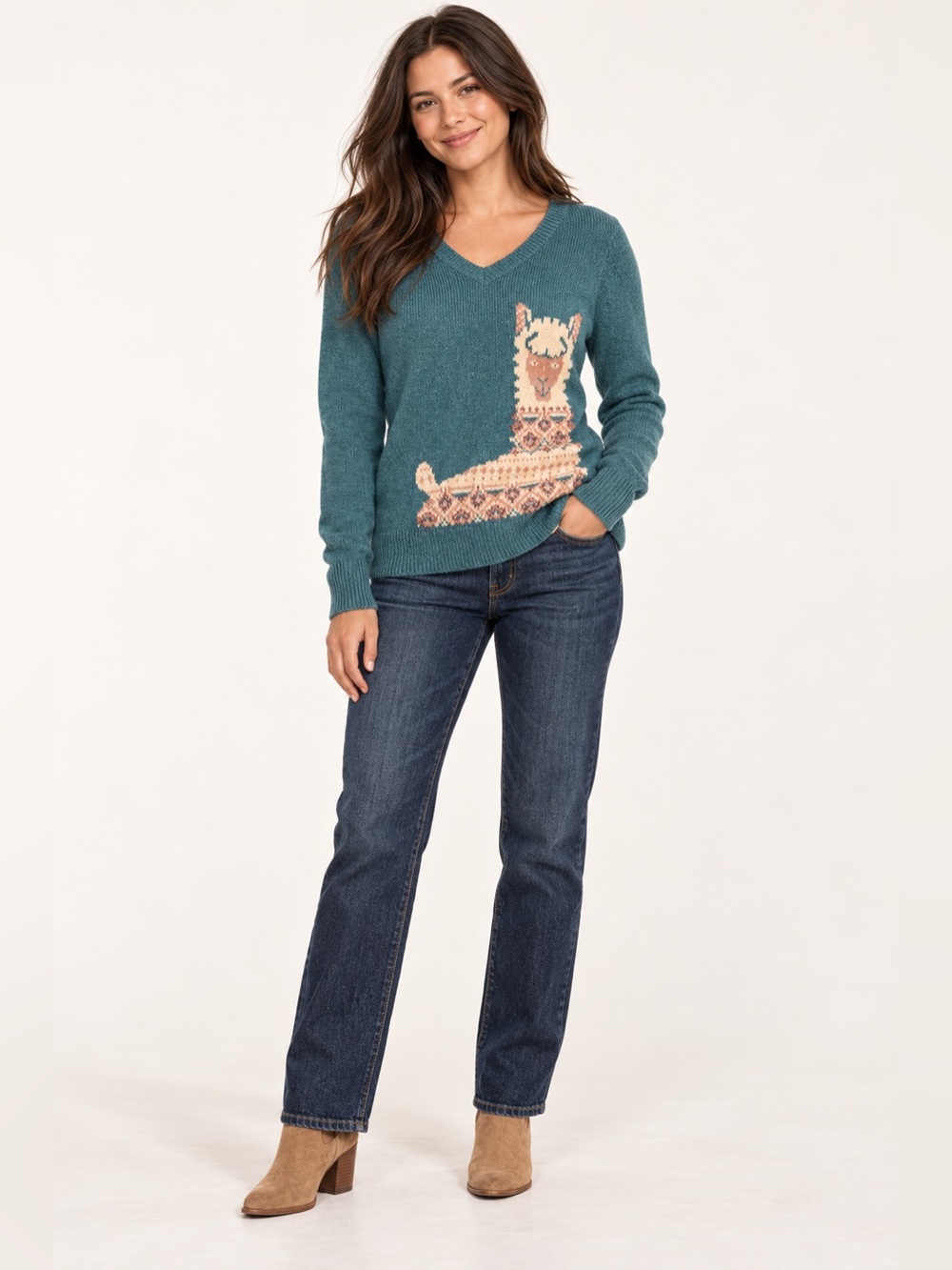 Hollister Teal Llama V-Neck Graphic Sweater Women’s Small
